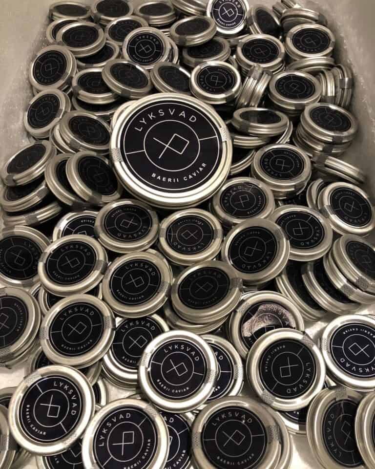 Virksomhedsbesøg på Lyksvad!